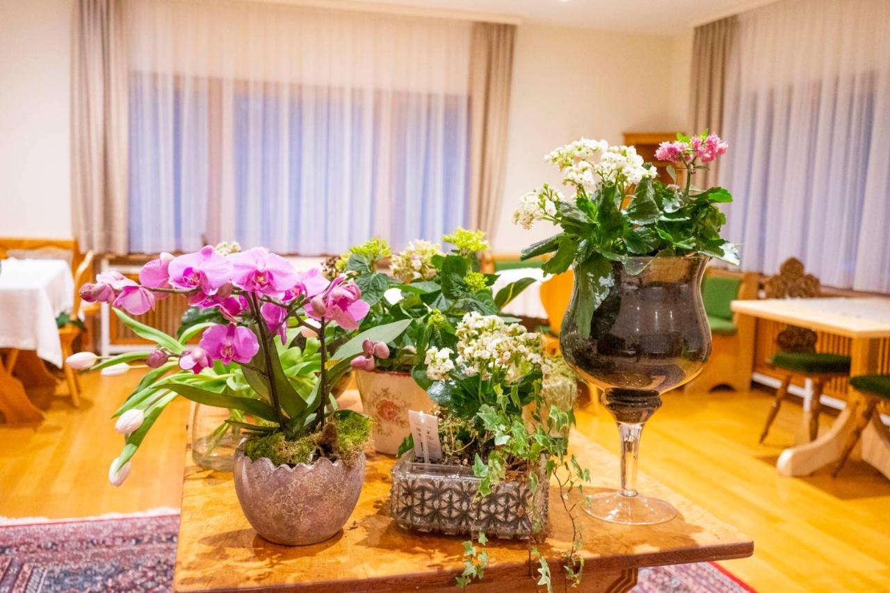 Naturion Hotel Hinterzarten Ngoại thất bức ảnh