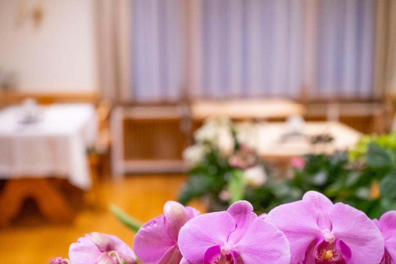 Naturion Hotel Hinterzarten Ngoại thất bức ảnh